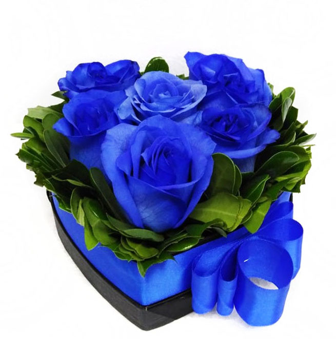 6 Rosas Azules en Caja Corazn 